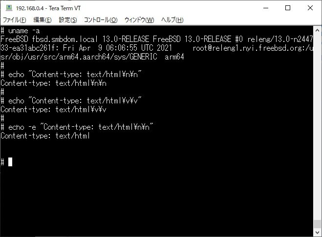 https://www.sub.h-sol.jp/zakki-cho/2021/09/17/FreeBSD-echo.jpg