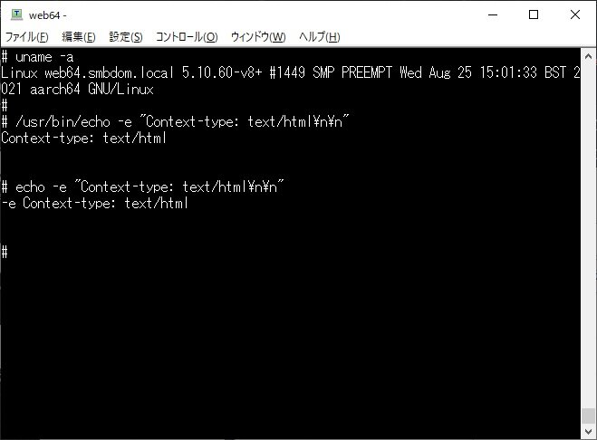 https://www.sub.h-sol.jp/zakki-cho/2021/09/17/debian-echo-2.jpg