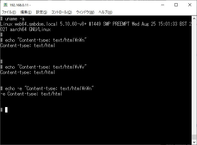 https://www.sub.h-sol.jp/zakki-cho/2021/09/17/debian-echo.jpg
