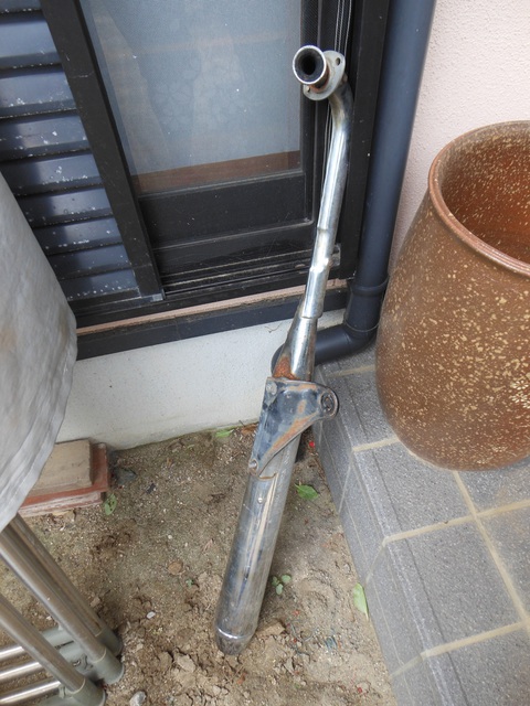 DSCN1254.JPG
