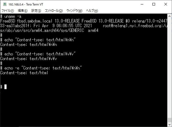 FreeBSD-echo.jpg