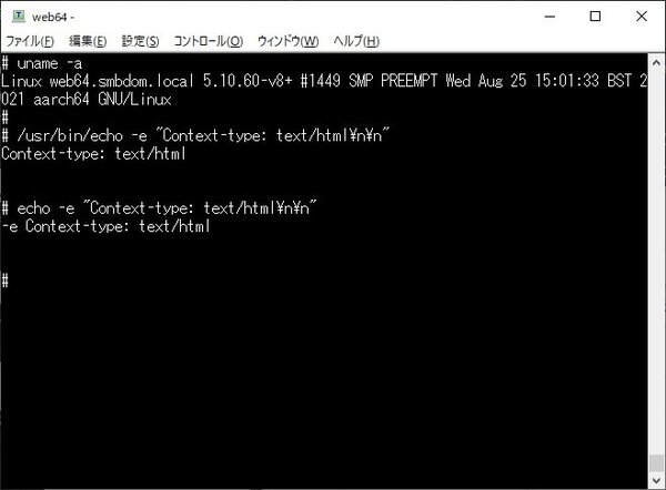 debian-echo-2.jpg