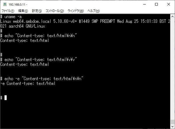 debian-echo.jpg